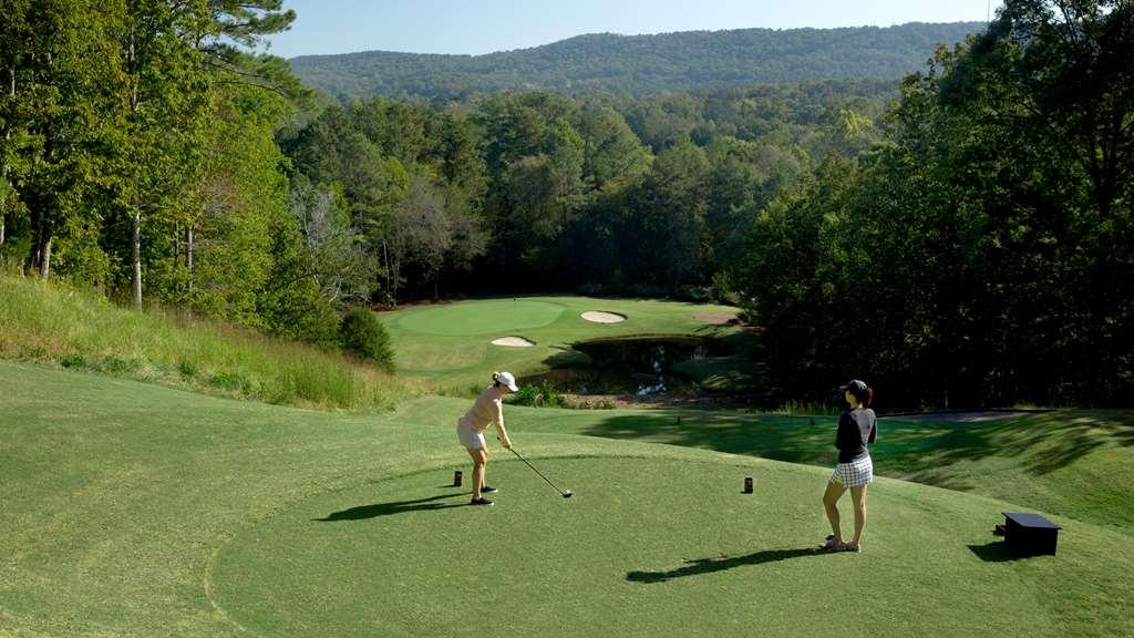 Barnsley Resort Adairsville Facilities photo